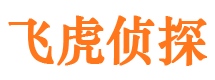 林芝市婚外情调查